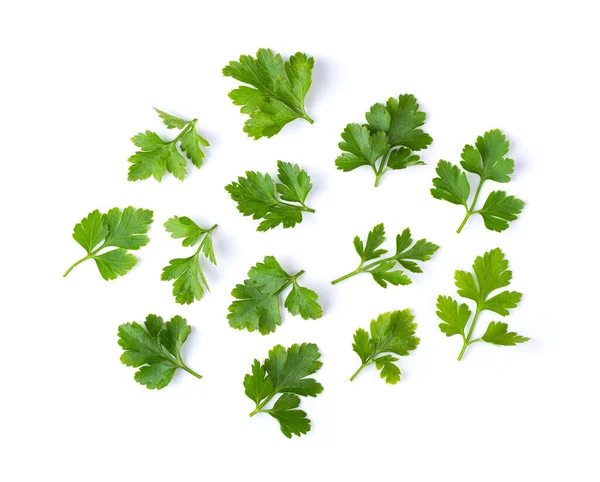 Maydanoz beyaz arka planda izole edilmiş. Üst görünüm