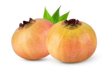 Beyaz arka plan üzerinde izole Syzygium jambos veya gül elma