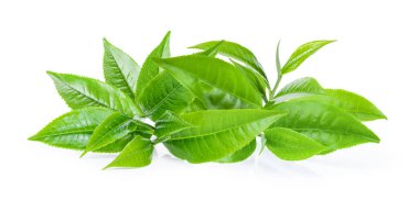 Beyaz arkaplanda yeşil çay yaprağı izole