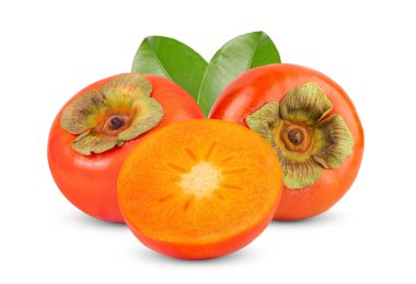 Beyaz arka planda izole edilmiş taze hurma ağaçları. tam alan derinliği