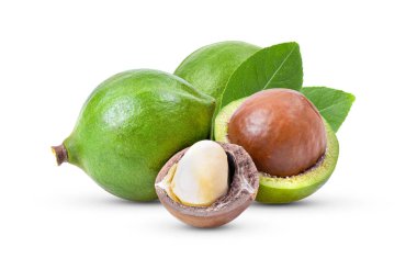 Beyaz arka planda yaprağı olan Macadamia fındıkları. tam alan derinliği