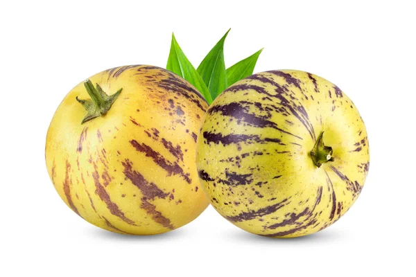 Pepino Melons Leaf White Background — Stock Photo, Image