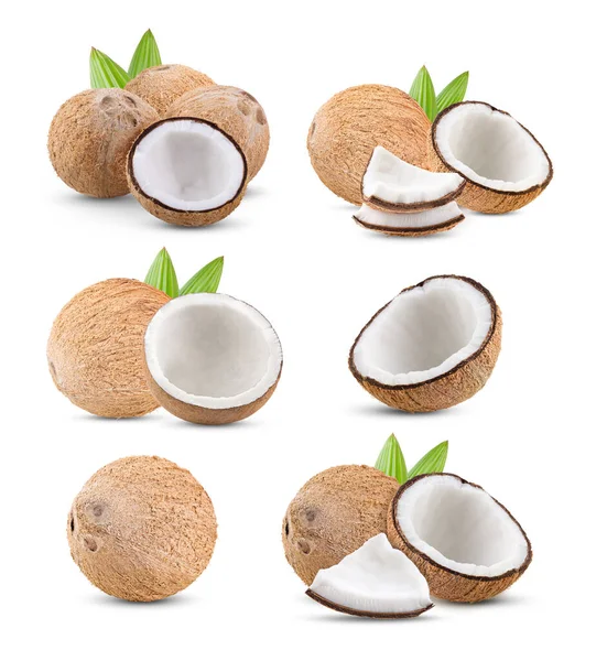 Orzech Kokosowy Izolowany Liściem Białym Tle Pełna Głębia Ostrości — Zdjęcie stockowe