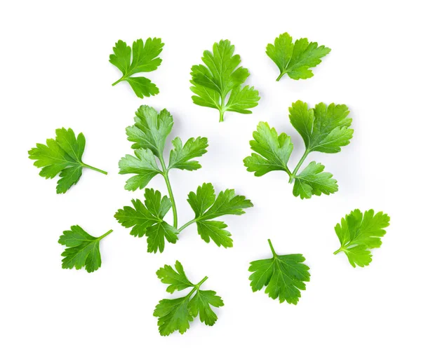 Fresh Parsley Herb Isolated White Background Top View — Stock Photo, Image