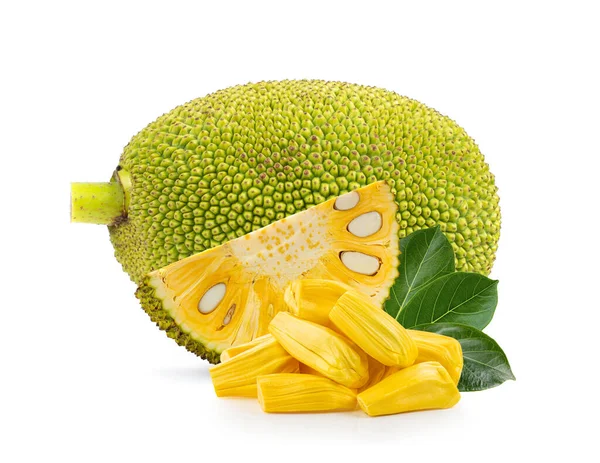 stock image jackfruits on white background. full depth of field