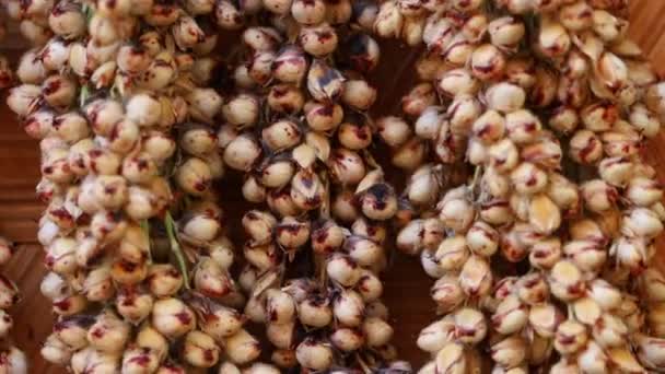 Nahaufnahme der Rotation von trockenem Sorghum — Stockvideo