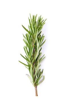 Beyaz arka planda izole edilmiş taze biberiye. Üst görünüm