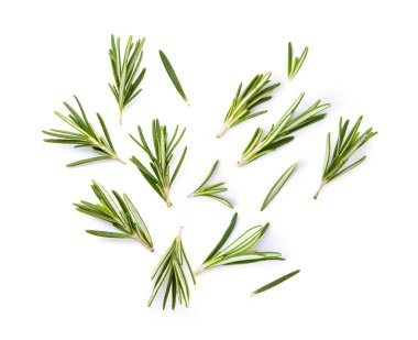 Biberiye beyaz arka planda izole edilmiş. Üst görünüm