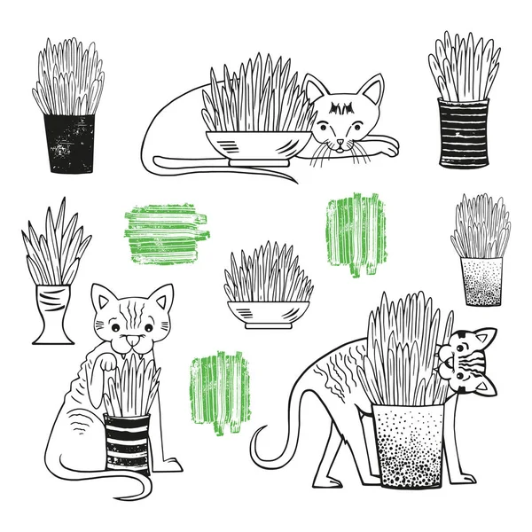 Cats eat grass. — Stock Vector