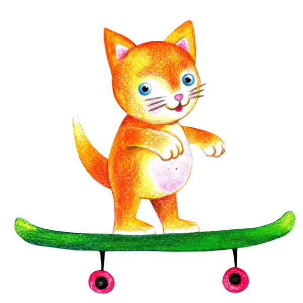 Котик на скейте рисунок