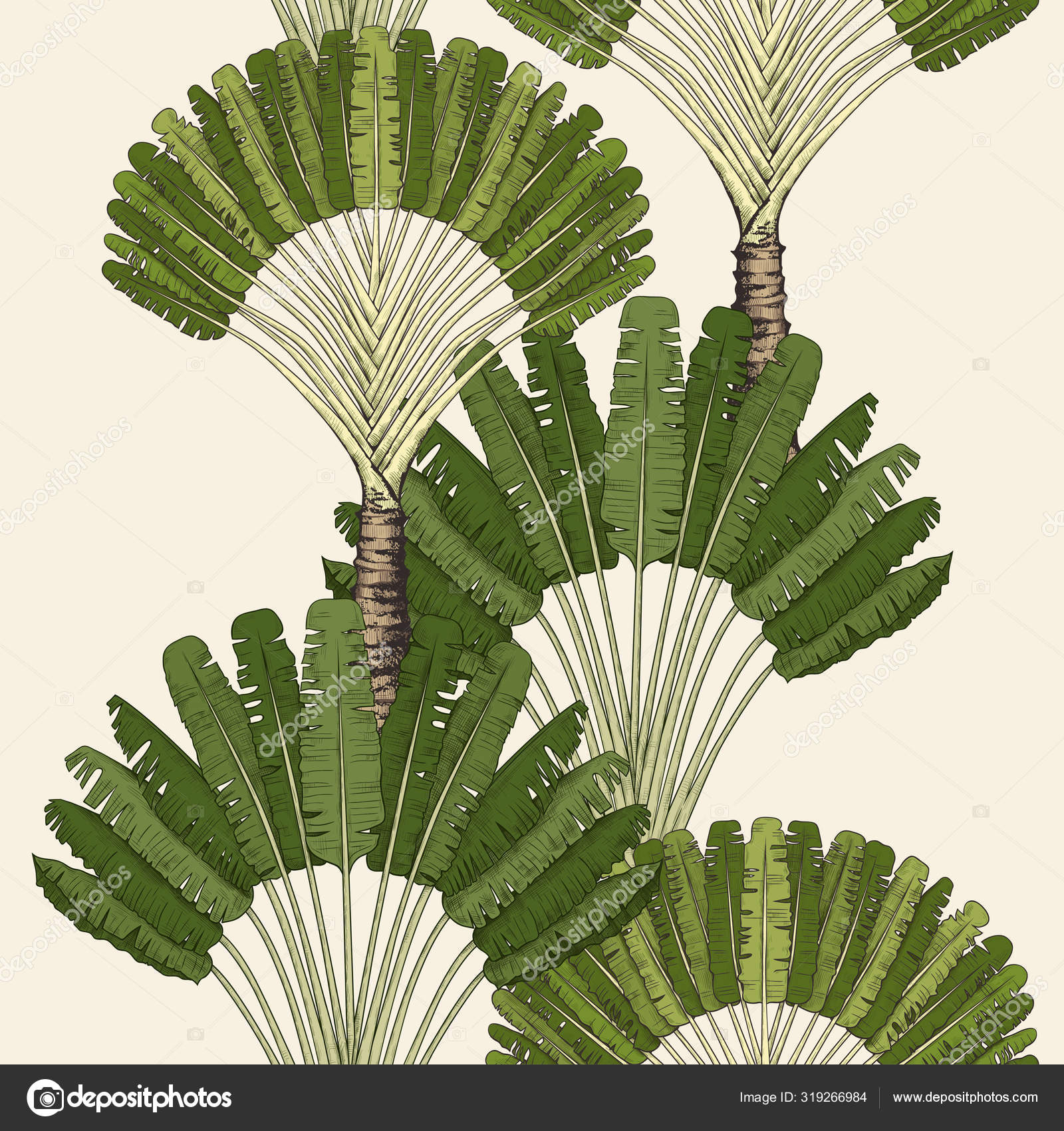 Flower of Ravenala Madagascariensis Stock Photo - Image of leaf, pattern:  97525378