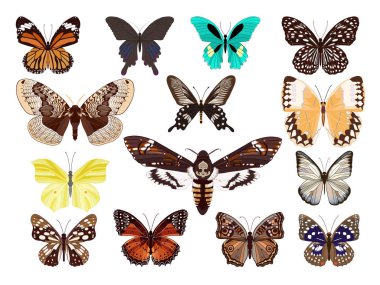 Çeviri: nazo82 Shagrathian