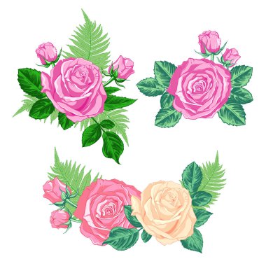 Güller, tomurcuklar, yapraklar ve eğreltiotu dallarıyla bir dizi farklı kompozisyon. El çizimi vektör çizimi.