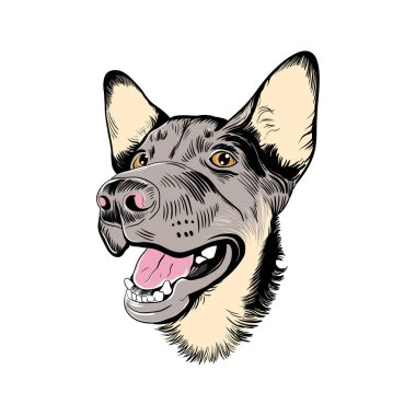 Komik, dost canlısı bir köpeğin portresi. Bir hayvanın kafasının elle çizilmiş vektör çizimi. Beyaz arka planda resim. Çizim.