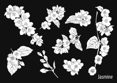 Soluk mavi arka planda dalları olan papatya çiçekleri. Vektörsüz desen. El çizimi çiçek kompozisyonu..