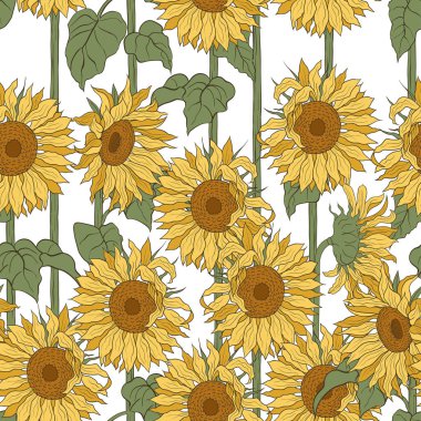 Uzun saplı ayçiçekli kusursuz desen. El çizimi vektör illüstrasyonu. 
