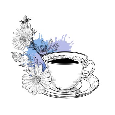 Hindiba çiçekleri ve çay tabağı ile kahve fincanı. El çizimi vektör