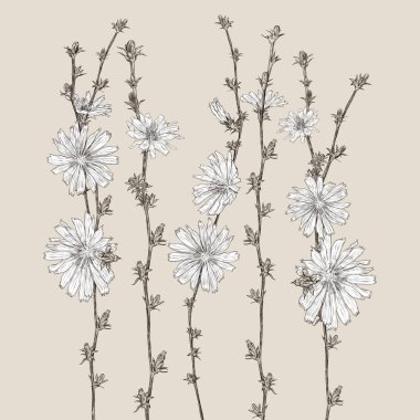 Koridorun iç çizimi. Kapı, kürsüde şemsiyeler, askıda giysiler, ayakkabılar ve tencerede kaktüs. Klasik tarzda elle çizilmiş vektör illüstrasyonu.