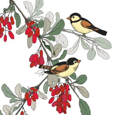 Koridorun iç çizimi. Kapı, kürsüde şemsiyeler, askıda giysiler, ayakkabılar ve tencerede kaktüs. Klasik tarzda elle çizilmiş vektör illüstrasyonu.