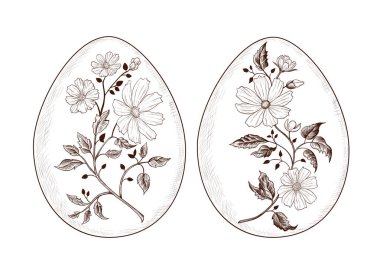 resim arkaplanı, kopyalama alanı 