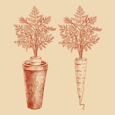 resim arkaplanı, kopyalama alanı 