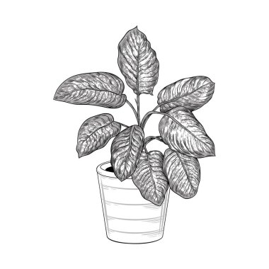 resim arkaplanı, kopyalama alanı 