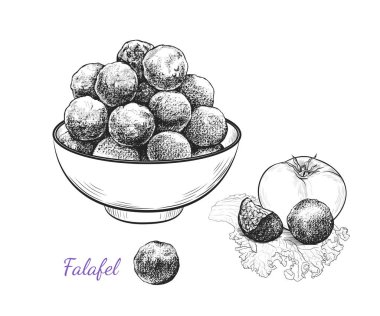 Falafel çizimi. Kasede falafel topları, domates ve marul yaprağında ayrı toplar. Orta Doğu mutfağının vektör illüstrasyonu.