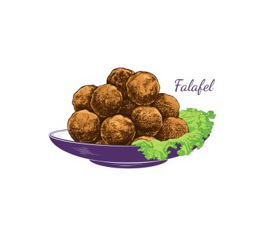 Falafel 'in renkli çizimi. Tabakta marul yapraklı falafel. Orta Doğu mutfağının vektör illüstrasyonu.