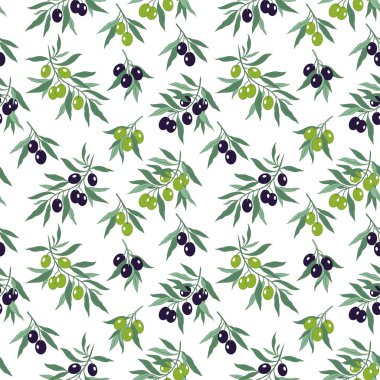 Beyaz arka planda siyah ve yeşil zeytinli dallar. Elle çizilmiş, pürüzsüz desen. Vektör dokusu.