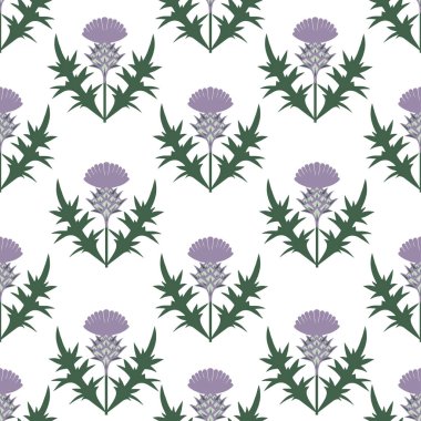 Devedikeni desensiz. Beyaz bir arka planda çiçek dokusu. El çizimi vektör illüstrasyonu.