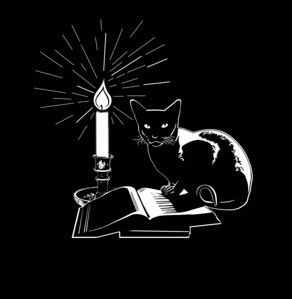 Una Composición Monocromática Con Gato Sentado Libro Una Vela Encendida — Archivo Imágenes Vectoriales