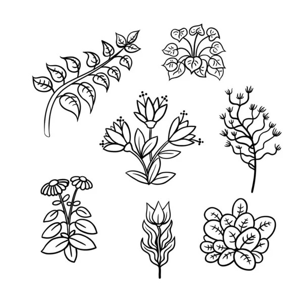 Vektorsatz Aus Verschiedenen Pflanzenelementen Kompositionen Aus Blättern Blüten Und Zweigen — Stockvektor