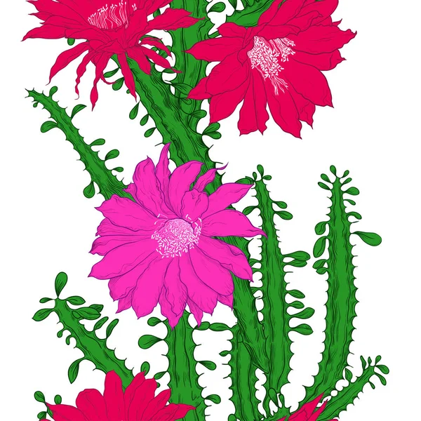 Bezproblémový Vzor Kvetoucím Kaktusem Bílém Pozadí Hranice Ručně Kreslené Vektorové — Stockový vektor