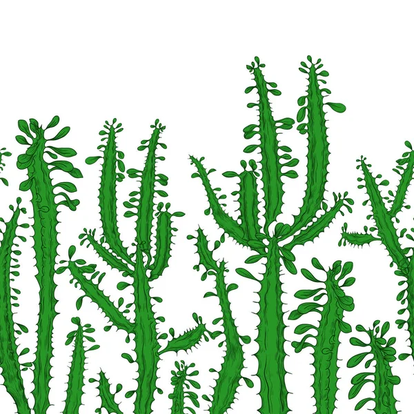 Bezproblémový Vzor Zeleným Kaktusem Bílém Pozadí Hranice Ručně Kreslené Vektorové — Stockový vektor
