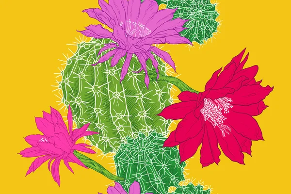 Modèle Sans Couture Avec Cactus Fleurs Composition Vectorielle Dessinée Main — Image vectorielle