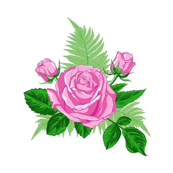 Σύνθεση Τριαντάφυλλο Μπουμπούκια Φύλλα Και Κλαδιά Φτέρης Λευκό Φόντο Χειροκίνητη — Διανυσματικό Αρχείο