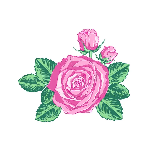 Kompozice Růžovým Květem Poupaty Listy Bílém Pozadí Ručně Kreslená Vektorová — Stockový vektor