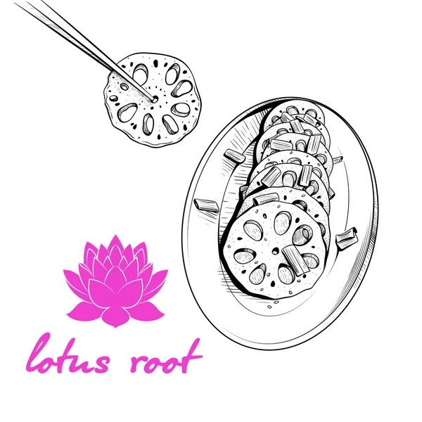 Croquis Plat Racine Lotus Dessin Vectoriel Dans Style Vintage Plat — Image vectorielle