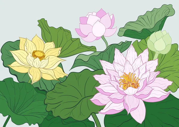 Vektor Bakgrund Och Ram Med Blad Blommor Och Knoppar Lotus — Stock vektor