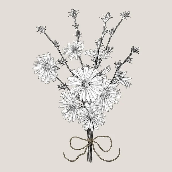 Bouquet Fleurs Chicorée Avec Arc Vecteur Dessiné Main — Image vectorielle