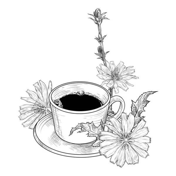 Hindiba Çiçekleri Çay Tabağı Ile Kahve Fincanı Çizimi Vektör — Stok Vektör