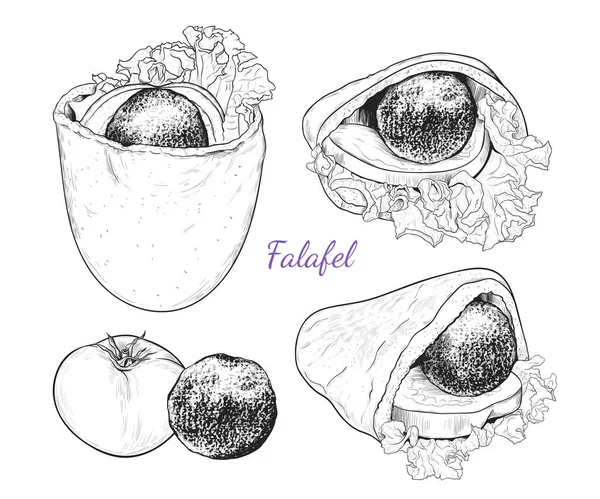 Pita Aux Falafels Légumes Ensemble Divers Croquis Falafel Pita Illustration — Image vectorielle