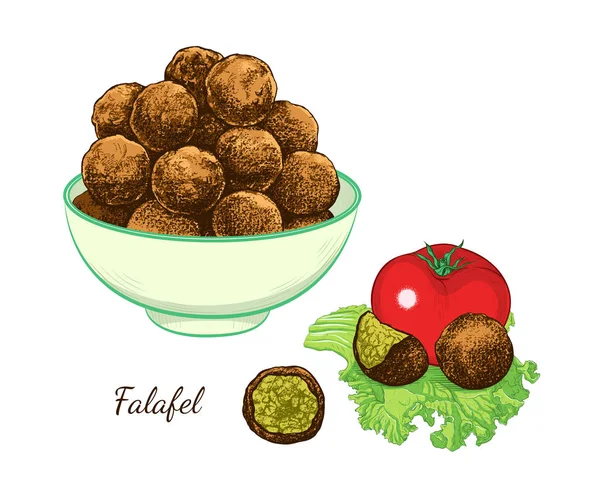 Sketch Falafel Falafel Balls Bowl Tomato Separate Balls Leaf Lettuce — Stock Vector