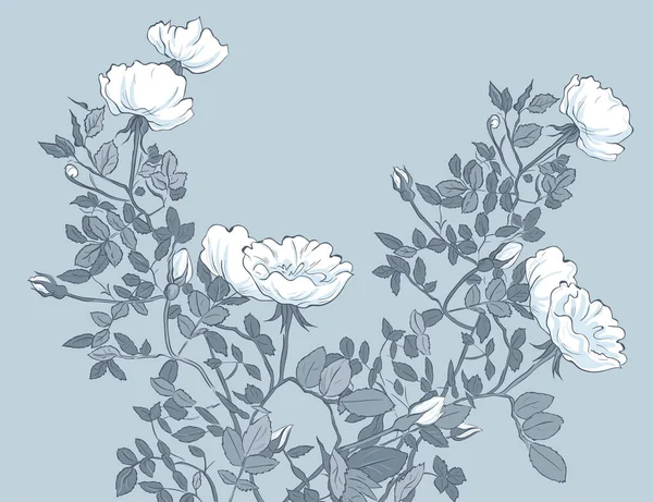 Rose Bush Vektorové Pozadí Panel Růžovými Květy Ručně Kreslené Ilustrace — Stockový vektor