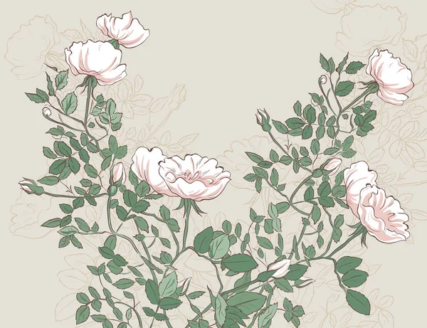 Ρόουζ Μπους Διάνυσμα Φόντο Πάνελ Τριαντάφυλλα Λουλούδια Χειροποίητη Εικονογράφηση Vintage — Διανυσματικό Αρχείο