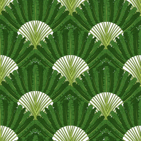 Ravenala Madagascariensis Padrão Sem Costura Textura Vintage Com Folhagem Leque — Vetor de Stock