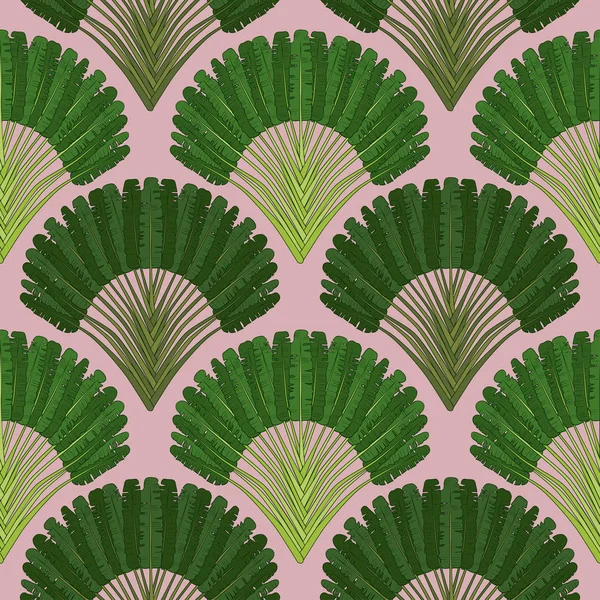 Ravenala Madagascariensis Seamless Pattern Vintage Texture Fan Foliage Pink Background — стоковый вектор