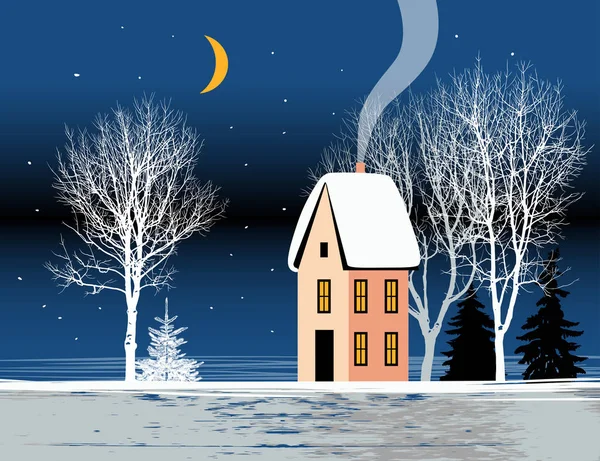 Paisaje Nocturno Acogedora Casa Varios Árboles Abeto Luna Cielo Ilustración — Archivo Imágenes Vectoriales
