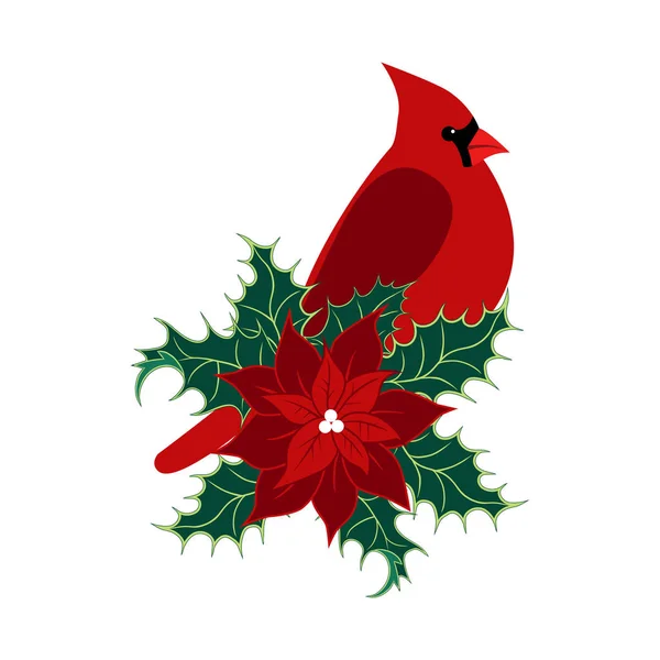 Cardinal Rouge Oiseau Fleur Poinsettia Feuilles Houx Élément Design Noël — Image vectorielle
