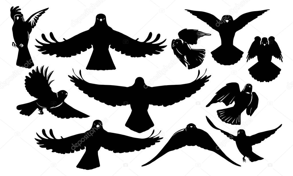  bird's silhouettes